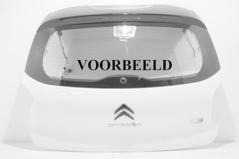 TYPE MET ACHTERUITRIJCAMERA/ ZIE 9812299780 + RUIT ZIE 9812719180 9812346080