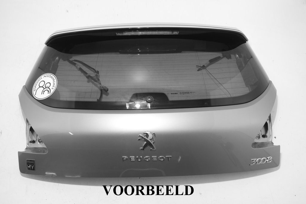 T1/ BOVENSTE DEEL/ HYBRIDE/ ZIE 8701GA